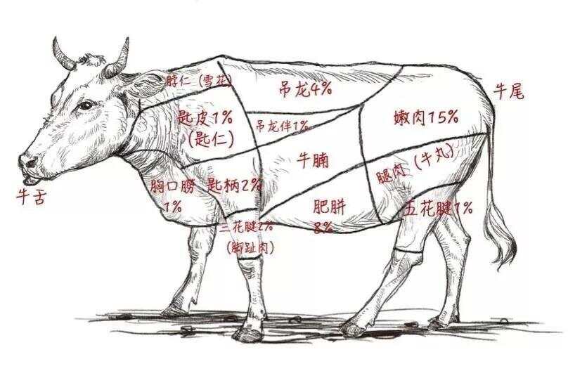 虽然牛肉火锅的风口已过但它依然是我心中的火锅NO1(图4)